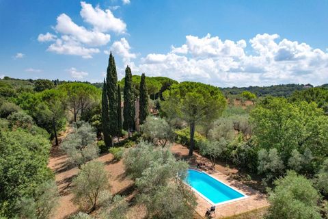 Landejendom i Guardistallo, Pisa, Guardistallo - € 1.150.000 | Ref: CS369 - foto 11