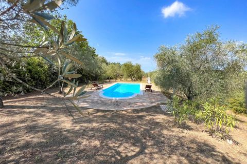 Landejendom i Guardistallo, Pisa, Guardistallo - € 1.150.000 | Ref: CS369 - foto 22