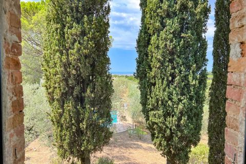 Landejendom i Guardistallo, Pisa, Guardistallo - € 1.150.000 | Ref: CS369 - foto 41