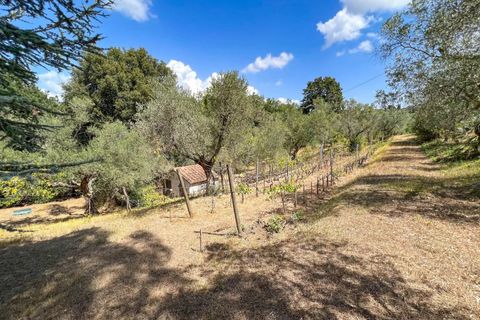 Landejendom i Guardistallo, Pisa, Guardistallo - € 1.150.000 | Ref: CS369 - foto 48