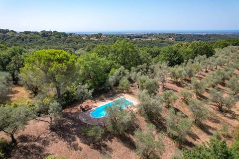 Landejendom i Guardistallo, Pisa, Guardistallo - € 1.150.000 | Ref: CS369 - foto 50