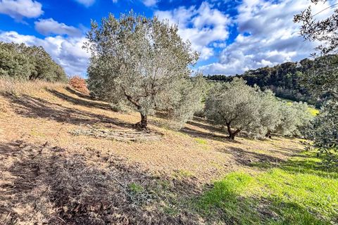 Helårsgrund i Riparbella, Pisa, Riparbella - € 120.000 | Ref: CS466 - foto 2