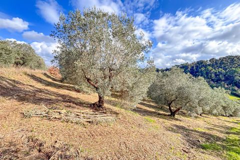 Helårsgrund i Riparbella, Pisa, Riparbella - € 120.000 | Ref: CS466 - foto 3