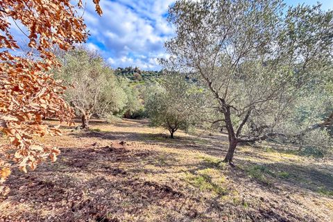 Helårsgrund i Riparbella, Pisa, Riparbella - € 120.000 | Ref: CS466 - foto 6