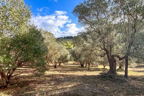 Helårsgrund i Riparbella, Pisa, Riparbella - € 120.000 | Ref: CS466 - foto 7