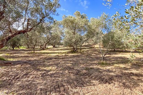 Helårsgrund i Riparbella, Pisa, Riparbella - € 120.000 | Ref: CS466 - foto 8