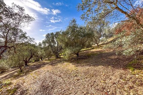 Helårsgrund i Riparbella, Pisa, Riparbella - € 120.000 | Ref: CS466 - foto 9