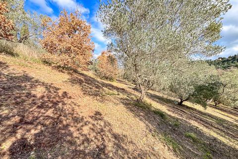 Helårsgrund i Riparbella, Pisa, Riparbella - € 120.000 | Ref: CS466 - foto 10
