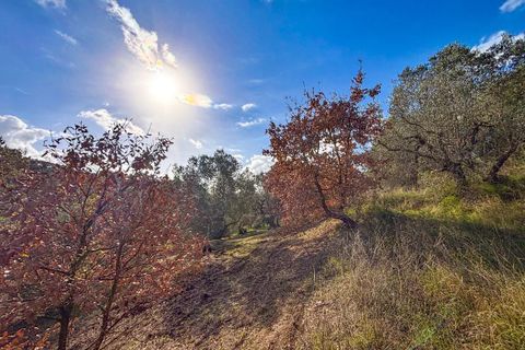Helårsgrund i Riparbella, Pisa, Riparbella - € 120.000 | Ref: CS466 - foto 11