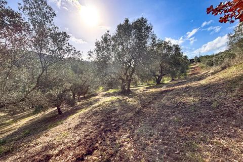 Helårsgrund i Riparbella, Pisa, Riparbella - € 120.000 | Ref: CS466 - foto 12