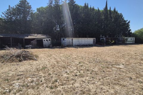 Villa i Aigues-Mortes, Gard, Aigues-Mortes - € 399.000 | Ref: VM962-ACTIVPATRIMONIA - foto 11