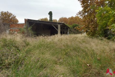 Helårsgrund i Arles, Bouches-du-Rhone, Arles - € 380.000 | Ref: VT120-ACTIVPATRIMONIA - foto 3