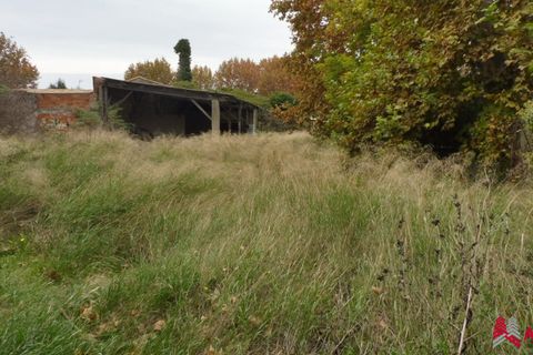 Helårsgrund i Arles, Bouches-du-Rhone, Arles - € 380.000 | Ref: VT120-ACTIVPATRIMONIA - foto 4