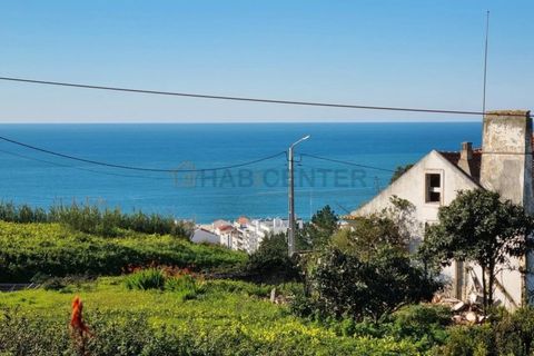 Erhvervsejendom i Nazare, Leiria, Nazare - € 1.600.000 | Ref: BLO_26 - foto 1