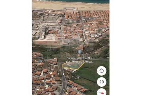 Erhvervsejendom i Nazare, Leiria, Nazare - € 1.600.000 | Ref: BLO_26 - foto 5