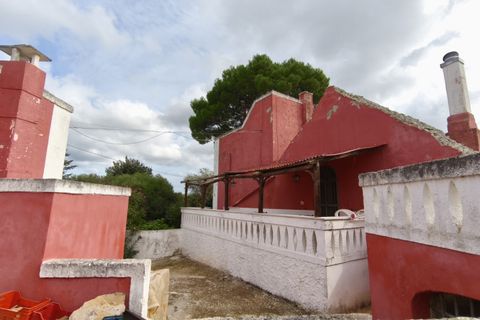 Landejendom i Monopoli, Bari, Monopoli - € 1.300.000 | Ref: VAJO - foto 48