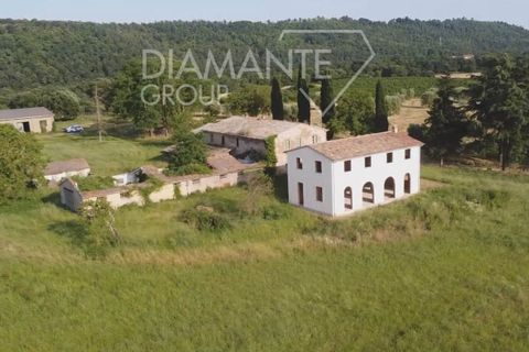 Farm i Acquapendente, Viterbo, Acquapendente - € 860.000 | Ref: AZ388 - foto 2