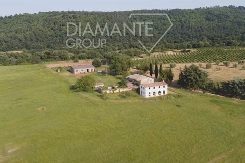 Farm i Acquapendente, Viterbo, Acquapendente - € 860.000 | Ref: AZ388 - foto 1