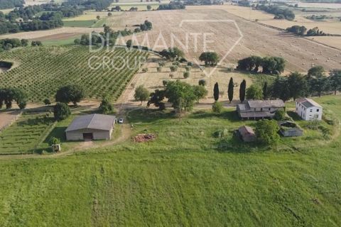 Farm i Acquapendente, Viterbo, Acquapendente - € 860.000 | Ref: AZ388 - foto 6