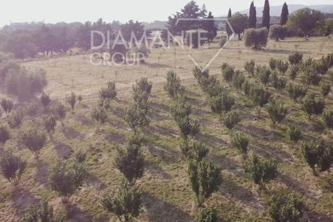 Farm i Acquapendente, Viterbo, Acquapendente - € 860.000 | Ref: AZ388 - foto 7