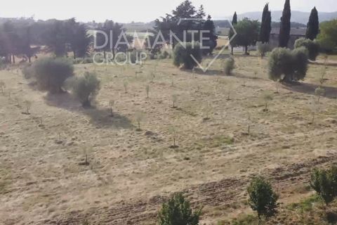 Farm i Acquapendente, Viterbo, Acquapendente - € 860.000 | Ref: AZ388 - foto 8