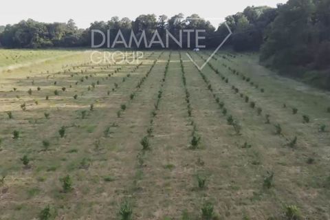 Farm i Acquapendente, Viterbo, Acquapendente - € 860.000 | Ref: AZ388 - foto 9