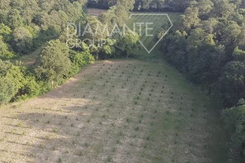 Farm i Acquapendente, Viterbo, Acquapendente - € 860.000 | Ref: AZ388 - foto 10