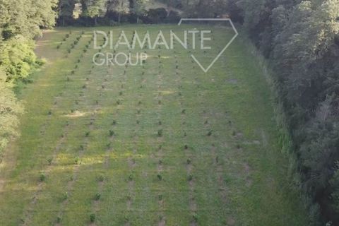 Farm i Acquapendente, Viterbo, Acquapendente - € 860.000 | Ref: AZ388 - foto 11