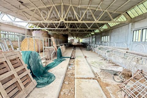 Granja a Gubbio, Perugia, Gubbio - € 450.000 | Ref: AZ387 - foto 9
