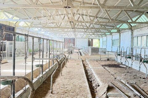 Granja a Gubbio, Perugia, Gubbio - € 450.000 | Ref: AZ387 - foto 10