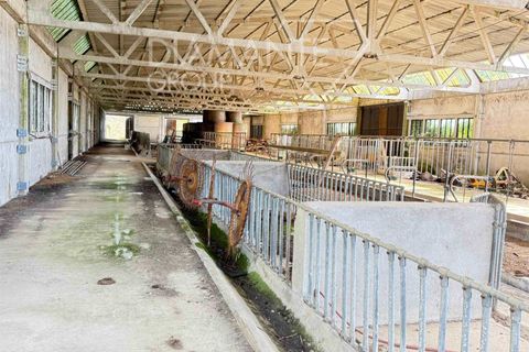 Granja a Gubbio, Perugia, Gubbio - € 450.000 | Ref: AZ387 - foto 11