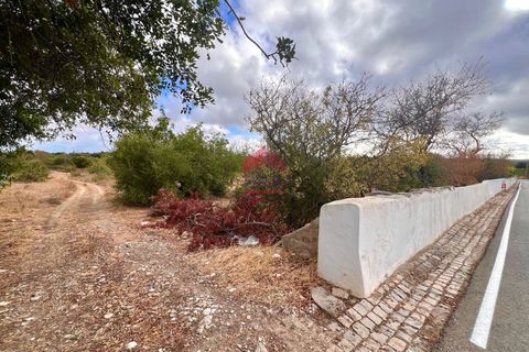 Helårsgrund i Tavira, Faro, Tavira - € 370.000 | Ref: 125250084 - foto 5