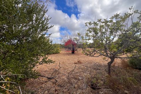 Helårsgrund i Tavira, Faro, Tavira - € 370.000 | Ref: 125250084 - foto 6