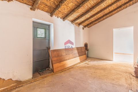 Villa i Tavira, Faro, Tavira - € 509.000 | Ref: 125250083 - foto 13