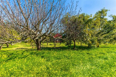 Villa i Tavira, Faro, Tavira - € 509.000 | Ref: 125250083 - foto 17