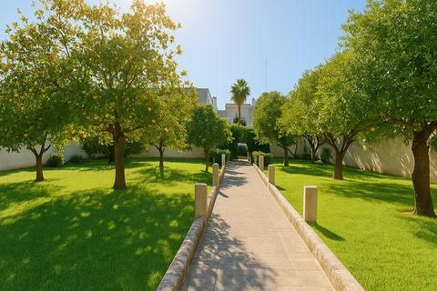 Villa a Calimera, Lecce, Calimera - € 650.000 | Ref: 650calimera - foto 3