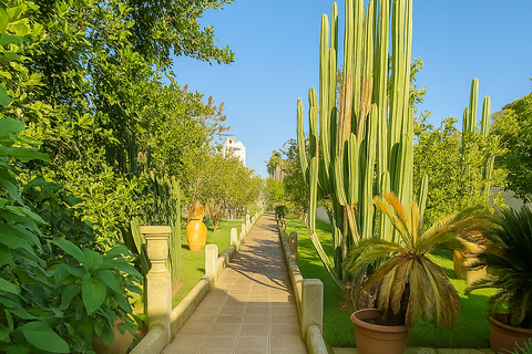 Villa a Calimera, Lecce, Calimera - € 650.000 | Ref: 650calimera - foto 5