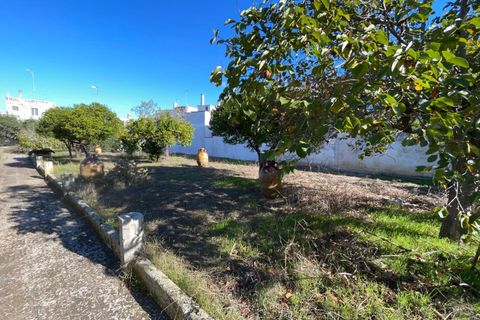 Villa a Calimera, Lecce, Calimera - € 650.000 | Ref: 650calimera - foto 37