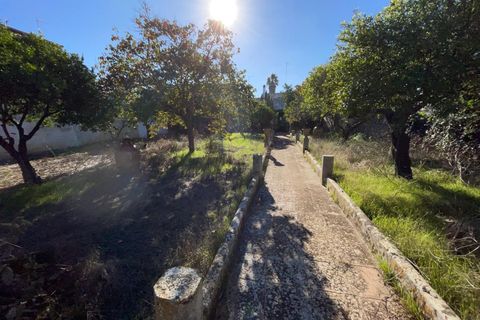 Villa a Calimera, Lecce, Calimera - € 650.000 | Ref: 650calimera - foto 38