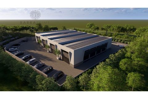 Erhvervsejendom i Almancil, Faro, Almancil - € 700.000 | Ref: 1352 (2) - foto 4
