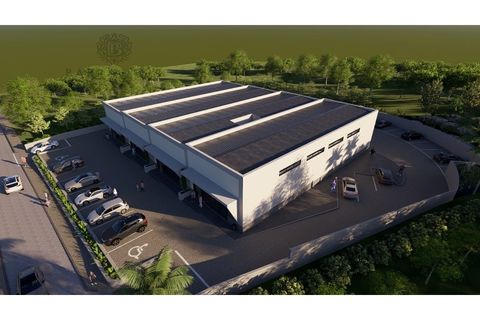 Erhvervsejendom i Almancil, Faro, Almancil - € 700.000 | Ref: 1352 (2) - foto 8