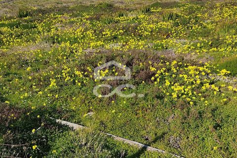 Helårsgrund i Loures, Lisbon, Loures - € 550.000 | Ref: 405/T/00053 - foto 2