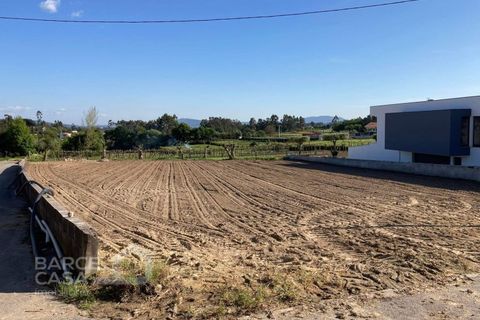 Tomt i Alvito, Beja, Alvito - € 85 000 | Ref: 109/22 - foto 2
