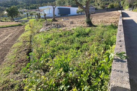 Tomt i Alvito, Beja, Alvito - € 85 000 | Ref: 109/22 - foto 3