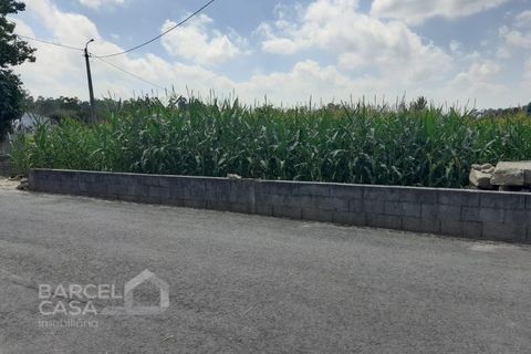 Tomt i Alvito, Beja, Alvito - € 85 000 | Ref: 109/22 - foto 4