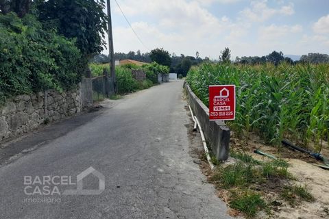 Tomt i Alvito, Beja, Alvito - € 85 000 | Ref: 109/22 - foto 6