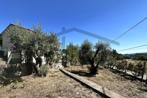 Villa a Serta, Castelo Branco, Serta - € 229.000 | Ref: m2H1079 - foto 4
