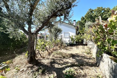 Villa a Serta, Castelo Branco, Serta - € 229.000 | Ref: m2H1079 - foto 34