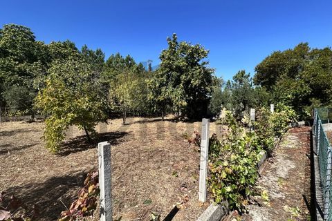 Villa a Serta, Castelo Branco, Serta - € 229.000 | Ref: m2H1079 - foto 35