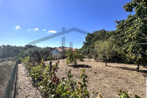 Villa a Serta, Castelo Branco, Serta - € 229.000 | Ref: m2H1079 - foto 36
